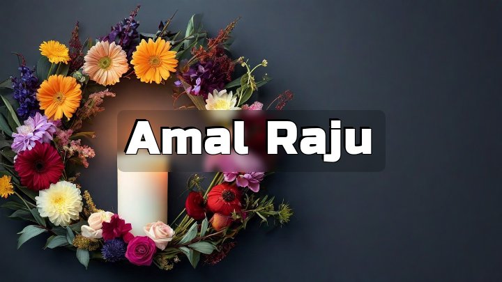 Amal Raju, Chicago, Illinois