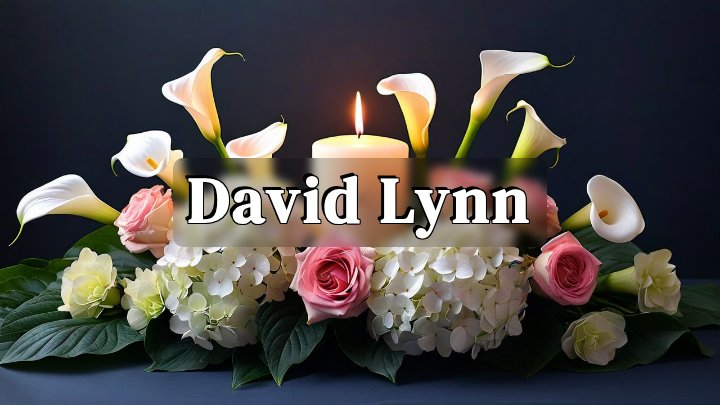 David Lynn, Manassas, Virginia