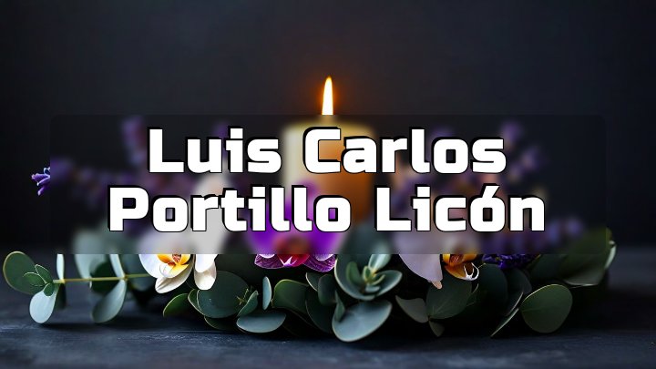 Luis Carlos Portillo Licón, United States